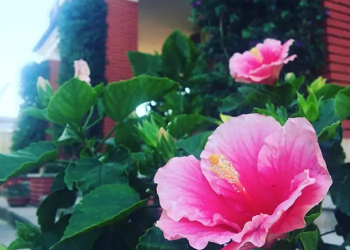 Gasthuis Residenza Campus Roma